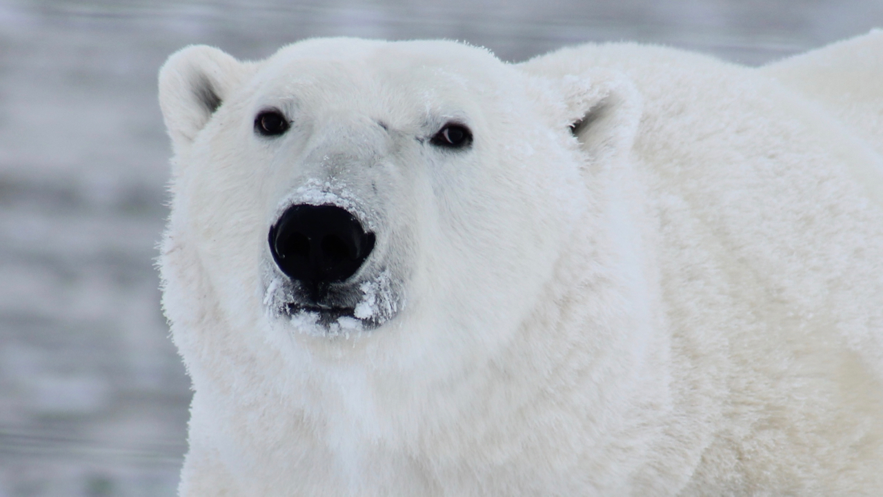 Call to Action: People’s Climate Prayer