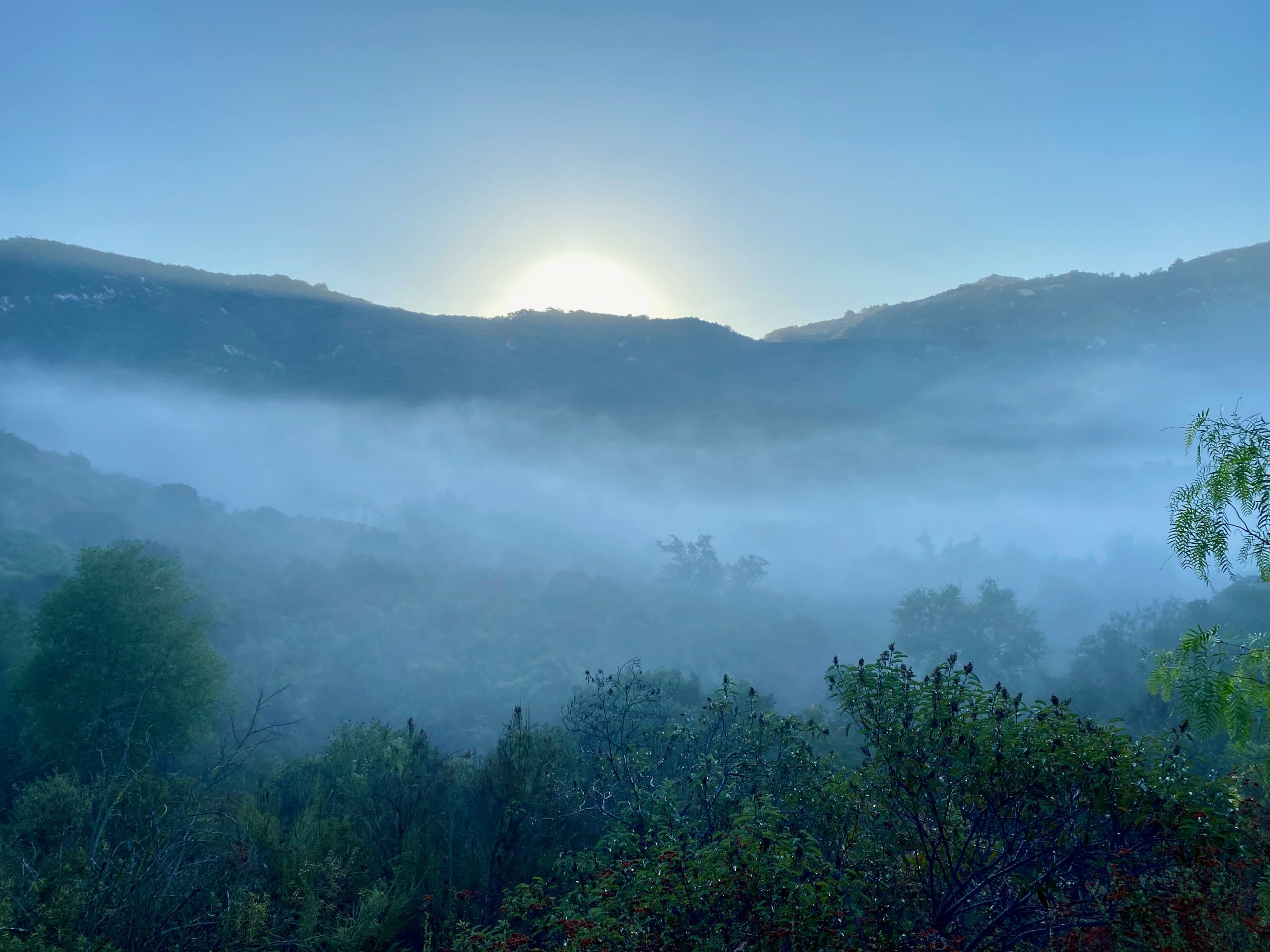 Appreciating Beauty on a Lazy Morning