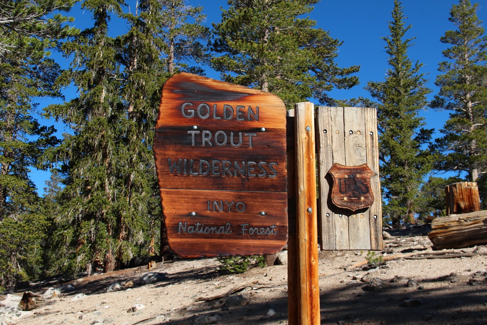 Mindfulness in the Sierra Nevada Mountains