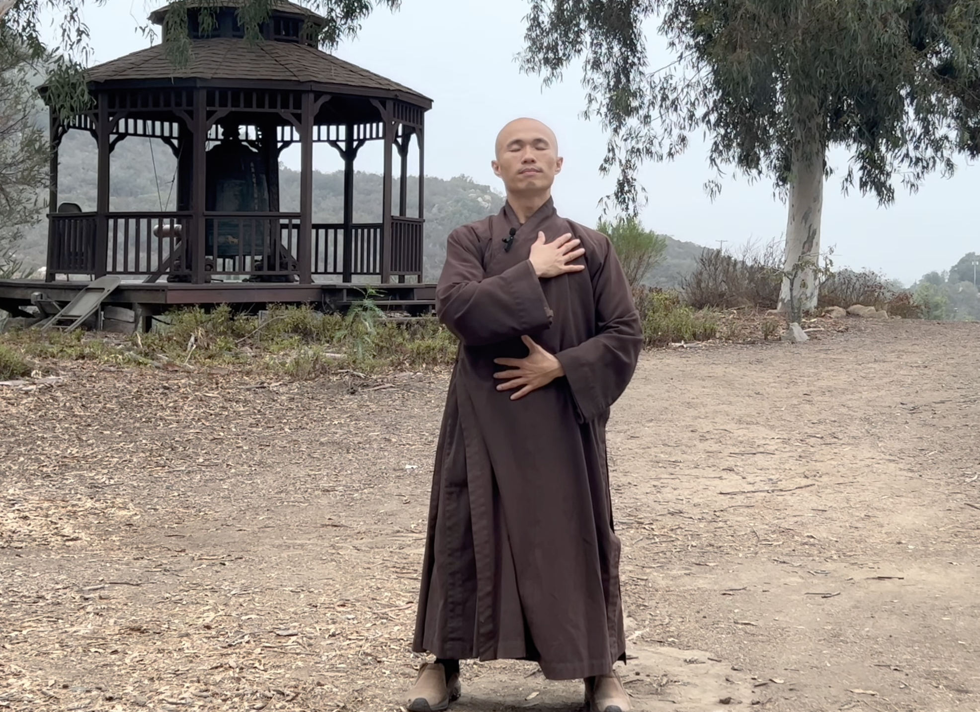 Qigong Meditation with Br. Insight