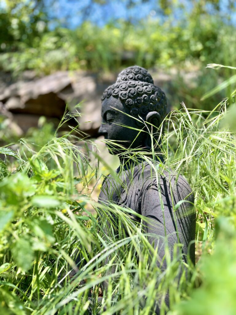 Buddha in grass