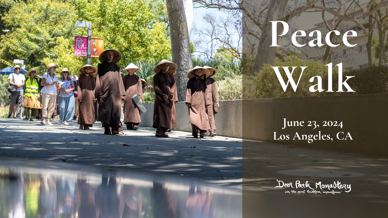 Peace Walk Los Angeles (Photo Gallery)