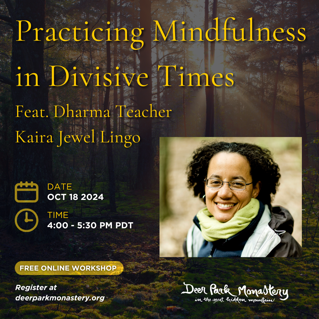 Practicing Mindfulness in Divisive Times with Kaira Jewel Lingo