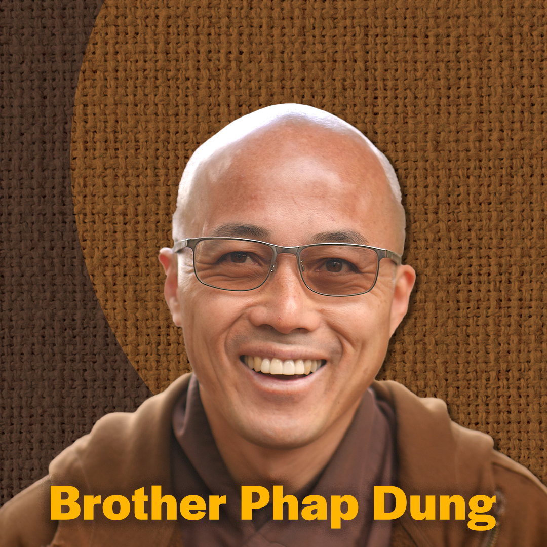 Brother Phap Dung: Now You Get to Choose